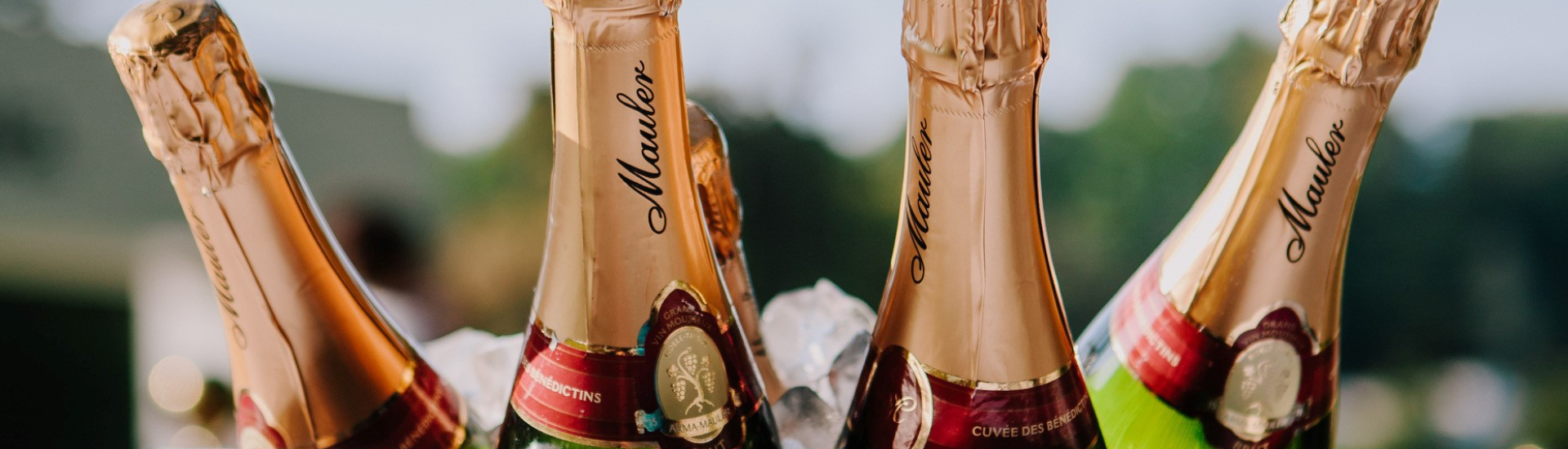 Un automne effervescent avec Mauler : cinq rendez-vous à ne pas manquer